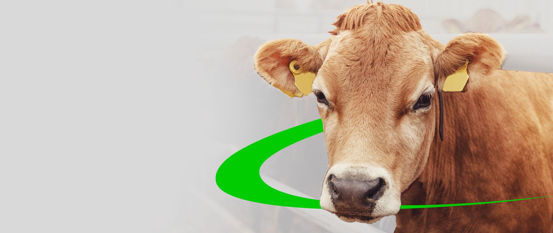 Real Projects, Real Farms