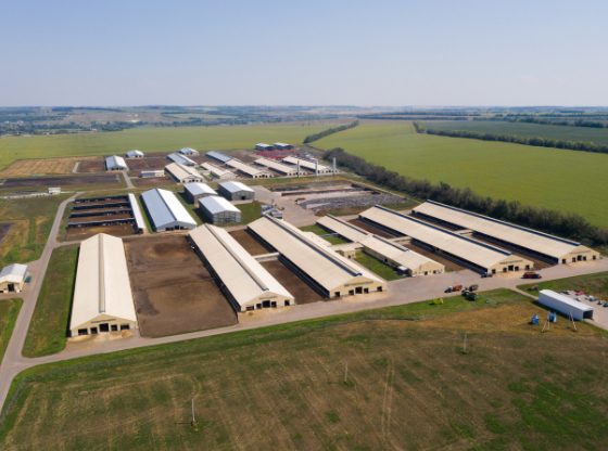 Large-scale commercial agricultural operation from above, illustrating the complex projects Midwest Ag Electric delivers for clients.